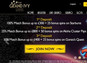 the grand ivy