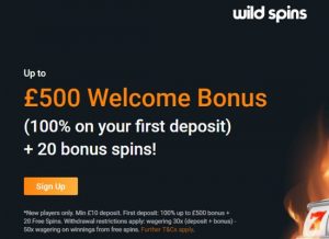 wild spins